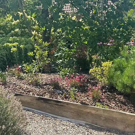 Private House With Garden *